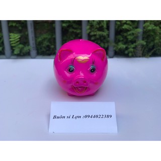 LỢN ĐẤT TIẾT KIỆM