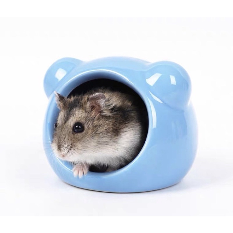 Nhà sứ mickey dành cho mọi loại hamster