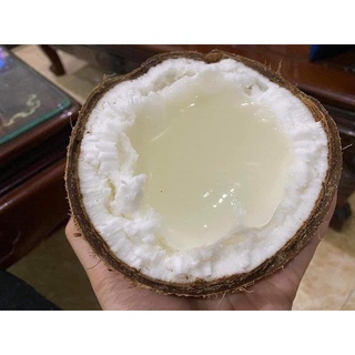Dừa sáp đặc cầu kè- trà vinh