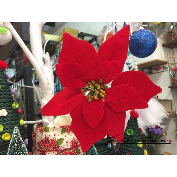 Hoa trạng nguyên đỏ nhung trang trí cây thông Noel mugongshop