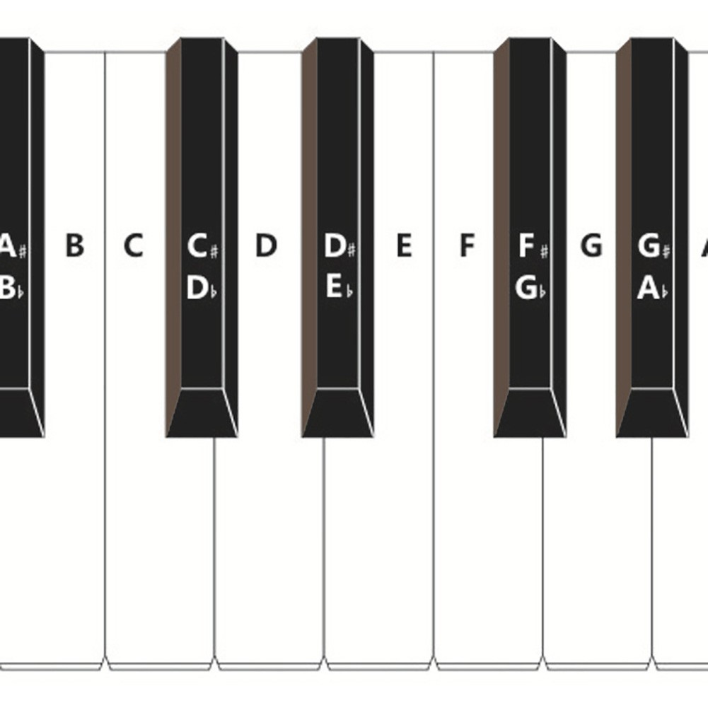 Bảng Phím Đàn Piano 88 Phím Hỗ Trợ Dạy Học Cho Người Mới Bắt Đầu