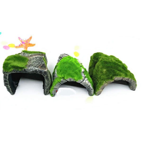 Hang ẩn náu cho bò sát nhện bọ cạp rùa ếch rắn