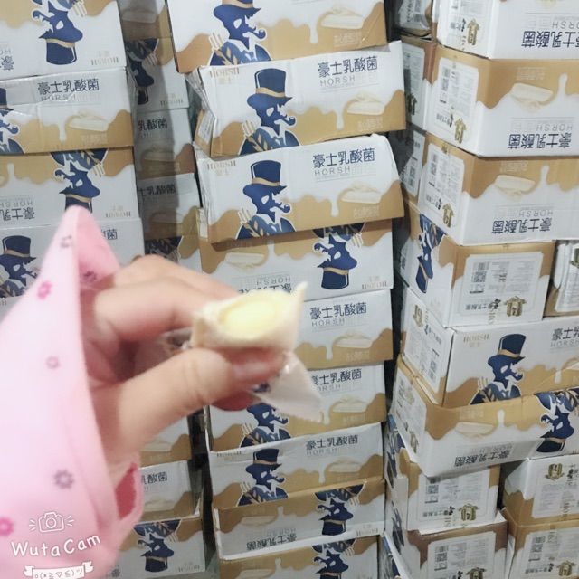 Bánh sữa chua ( 20 gói Việt quất )