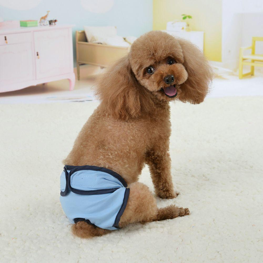 1 Tã Quần Bằng Cotton Co Giãn Thoáng Khí Dành Cho Chó Cưng