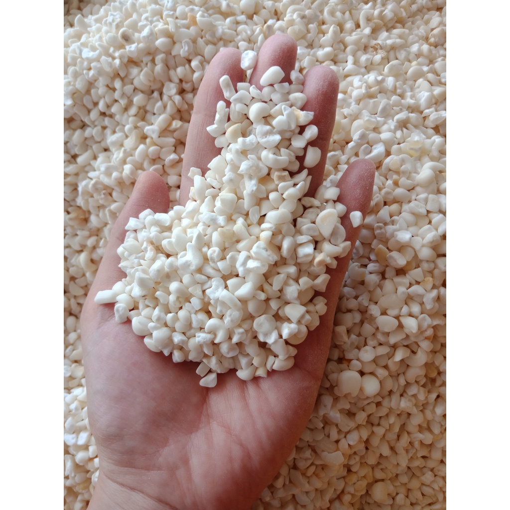 Bắp Trắng Xay- Bắp Nếp hạt bể to, khô  nấu xôi bắp,  cháo bắp