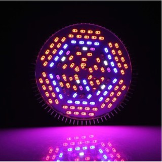 Led trồng cây 30w