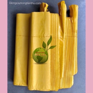 TÚI BAO TRÁI GIẤY (30 X 35cm)CHUYÊN DÙNG DÙNG BAO TRÁI BƯỞI, THANH LONG..hàng chất lượng cao 100 cái