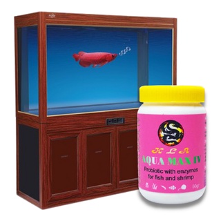 Men Tiêu Hóa Cho Cá Rông Aqua Max IV