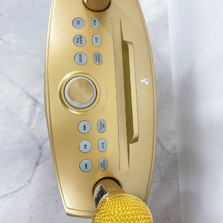 Loa Bluetooth karaoke SDRD SD 306 Plus bản 2020 đa năng, Loa kèm 2 micro hát karaoke Không dây- Phiên Bản Nâng Cấp lọc