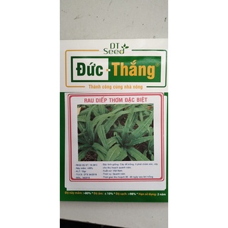 Hạt giống Rau diếp thơm -  Rau củ quả trồng tại vườn, sân thượng, nông trang, ban công