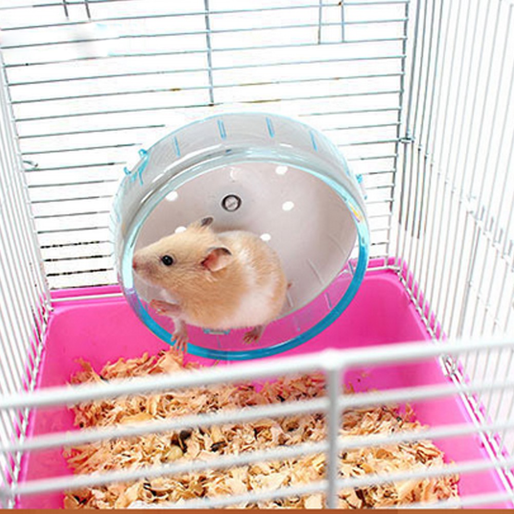 Con Quay Đồ Chơi Cho Chuột Hamster