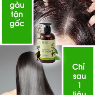 Dầu gội Thảo dược Hà thủ Ô