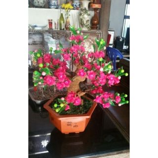 Combo 05 bộ nguyên liệu hoa mai, hoa đào, Nụ đất M4