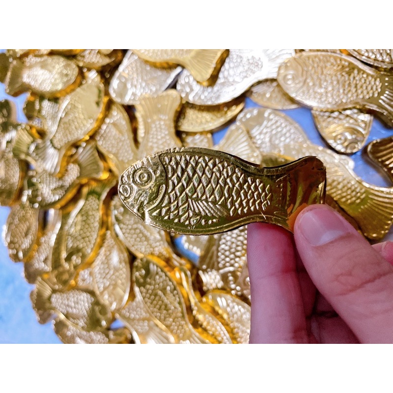 [ 10 con] Socola cá chép vàng