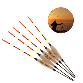 Phao câu cá phát sáng dạ quang