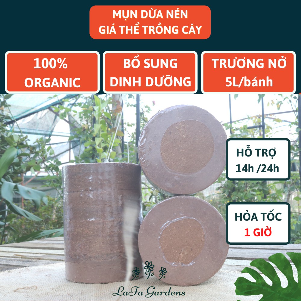 Đất hữu cơ ép bánh, Combo 4 bánh nén hữu cơ trồng cây sân thượng