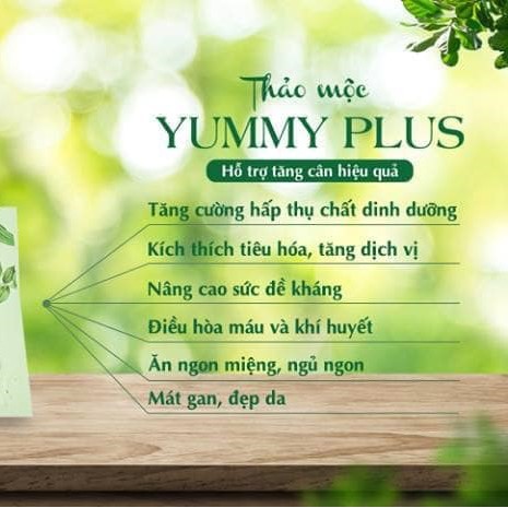 [Viên thảo mộc tăng cân Yummy Plus dạng Socola ]