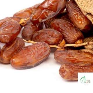 Chà Là Nguyên Cành Ba Con Lạc Đà Deglet Nour Chính Hãng Israel Hộp 500gr