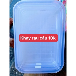 Khay rau câu