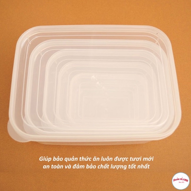 Hộp bảo quản thực phẩm, hộp trữ đồ đông Việt Nhật tiện dụng