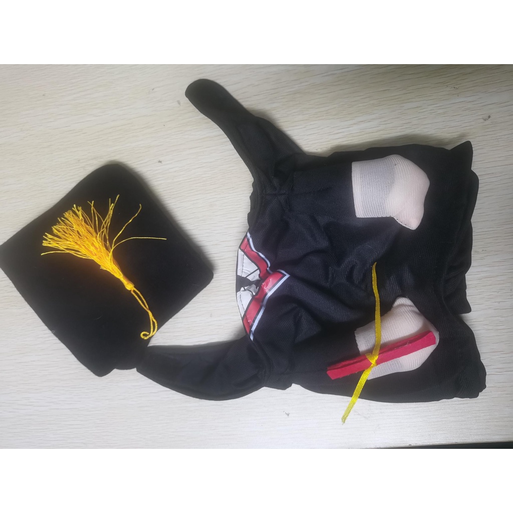 Nón Tốt Nghiệp Hình Phi Hành Gia Màu Đen 2022 Cho Thú Cưng