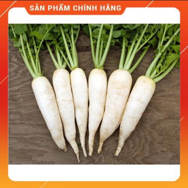 Hạt giống củ cải muối dưa Hà Nội- gói 10 gr