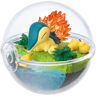 MÔ HÌNH POKEMON TERRARIUM COLLECTION HQ3