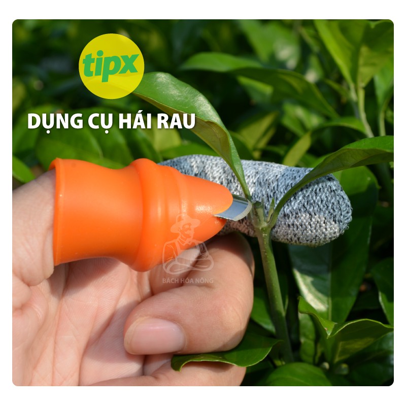 Dụng cụ hái rau, củ, quả tiện dụng bảo vệ ngón tay -Tipx