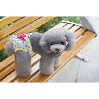 Cute physiological diapers for pets