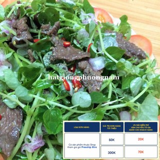 0,5GR - HẠT GIỐNG RAU CÀNG CUA