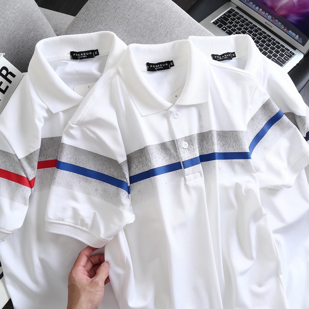 Áo thun nam POLO phối màu PEGASUS301 3M - Chất liệu cotton poly cực đẹp THE BASIC STORE