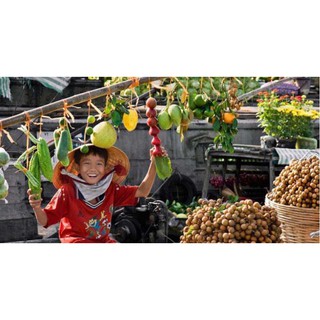 [HCM] Tour Miền Tây 01 Ngày (Mỹ Tho - Bến Tre), Giá 595K