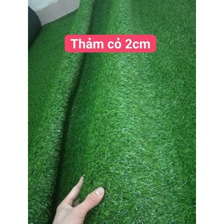 1m dài = 2m vuông thảm cỏ 2cm kt:2x25m/cuộn