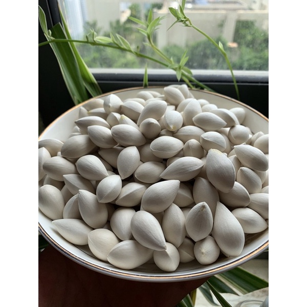 Combo 2kg Bạch Quả tươi Nhật, hàng tuyển chọn nhà hàng