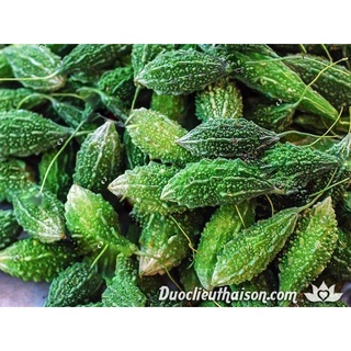HẠT GIỐNG KHỔ QUA RỪNG
