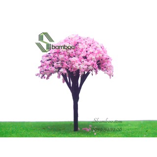 CÂY HOA ANH ĐÀO 10CM