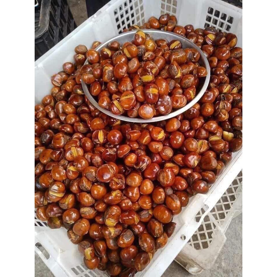 Hạt Dẻ Sống Hà Giang