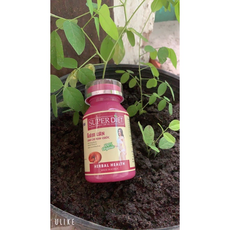Giảm cân linh chị Hàn quốc