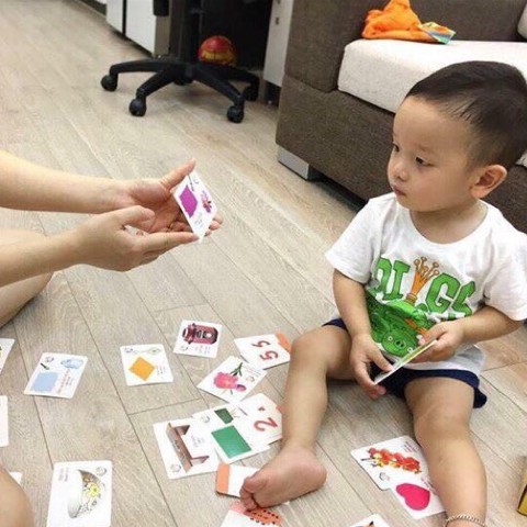 Bộ thẻ học thông minh song ngữ cho bé về thế giới xung quanh giúp trẻ phát triển trí tuệ hộp 416 thẻ