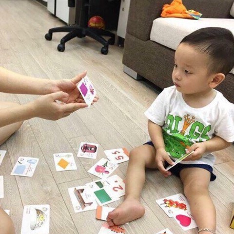 Thẻ Học Thế Giới Xung Quanh 416 thẻ- Flashcard cho bé