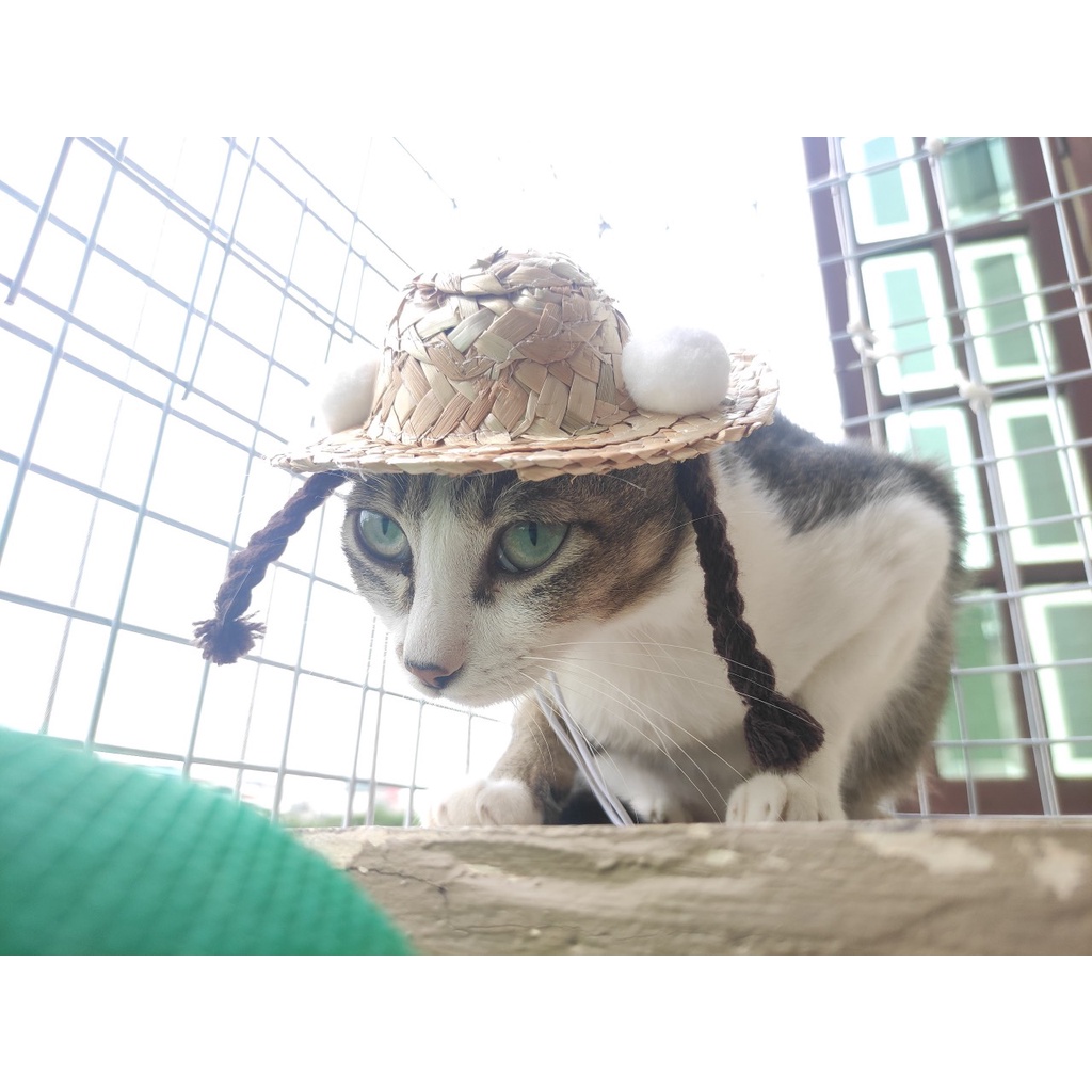 Mũ cói kèm tóc tết 2 bên cho thú cưng