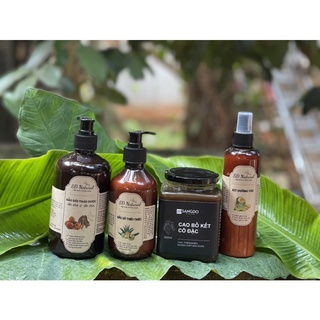 DẦU GỘI BỒ KẾT [Combo 4 món]