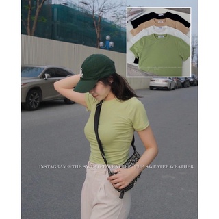 (Ảnh thật) Áo thun ôm màu trơn dáng lửng the.sweaterweather TSW