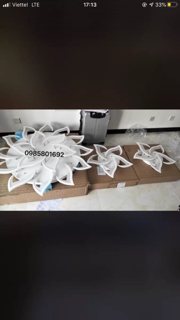 Đèn Ốp Trần Hoa 5 Cánh Có bảo hành