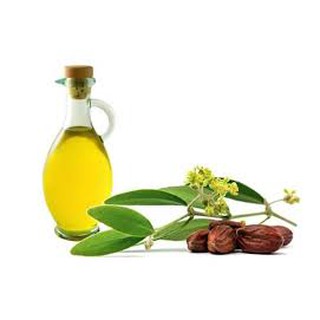 Tinh dầu Jojoba 30ml