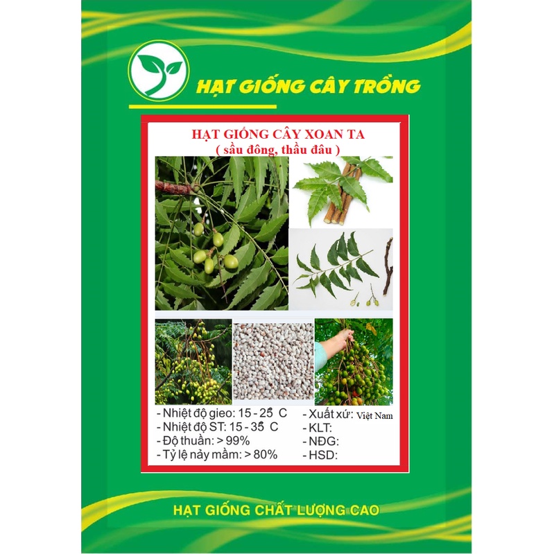 Hạt Giồng Cây xoan ta ( sầu đông, thầu đâu ) KNS3728 - Gói 30 hạt