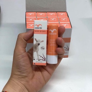 Son cừu Rebirth life