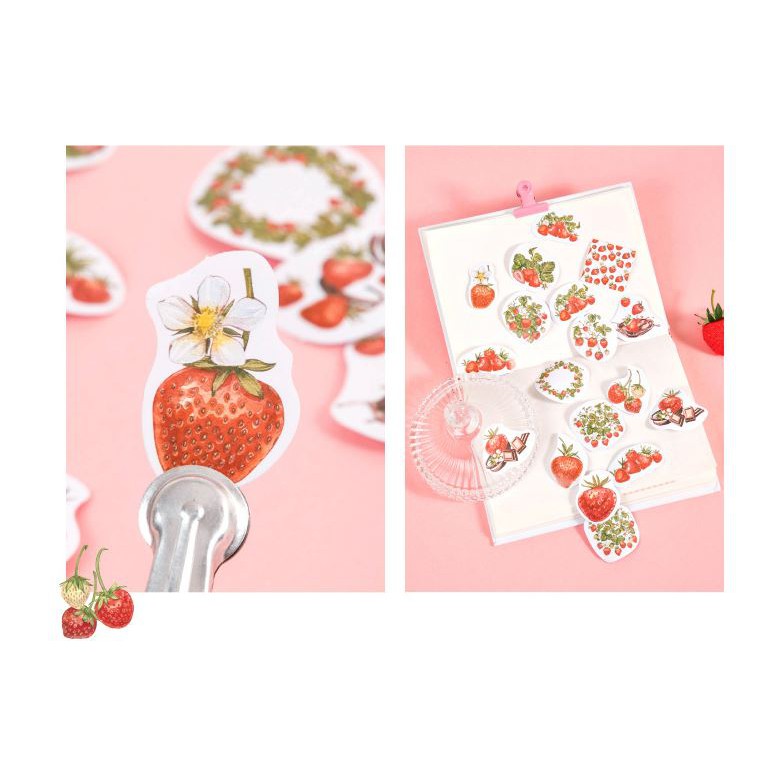 Bộ 45 Sticker Dâu Tây Đáng Yêu E113