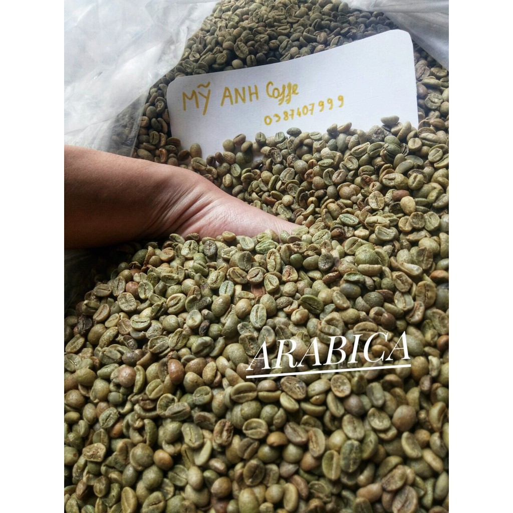 500gr cà phê arabica rang mộc - Cà phê sạch Lâm Đồng - Giá tốt - Myanh Coffee - Vietnamese coffee