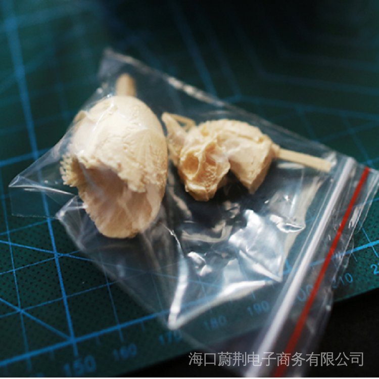 Mô Hình Xương Rồng Đầu Lâu Rồng Enoki d10 Bằng Nhựa Resin Màu Trắng